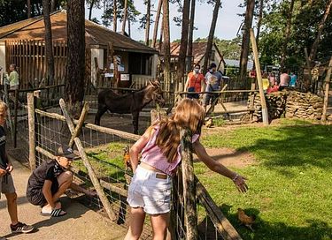 Trekkershut voor 4 personen in het bos - 27