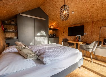 Tiny house aan een meer in Overijssel - 9