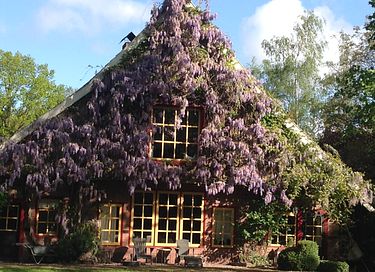 B&B dans un lieu unique - 3