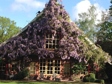 B&B dans un lieu unique - 3