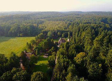 Knus boshuisje midden in de Veluwe - 5