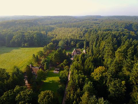 Knus boshuisje midden in de Veluwe - 5