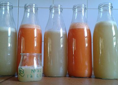 Alojamiento ecológico rural en España - 29
