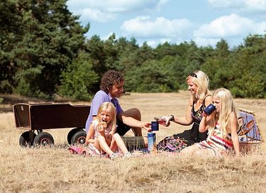 Vrijstaande bungalow (6p) met privé sauna - 12