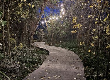 Idyllisch huisje met privé wellness - 15