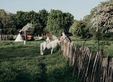 Zelt-Ferienhaus auf einem Milchviehbetrieb in der Betuwe - 41