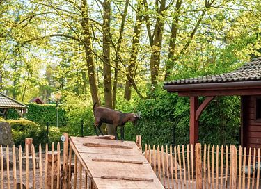 Groepsaccommodatie (10p) in de Achterhoek - 26