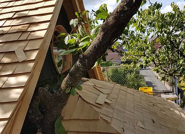 Prachtige boomhut in een oude kersenboom - 3