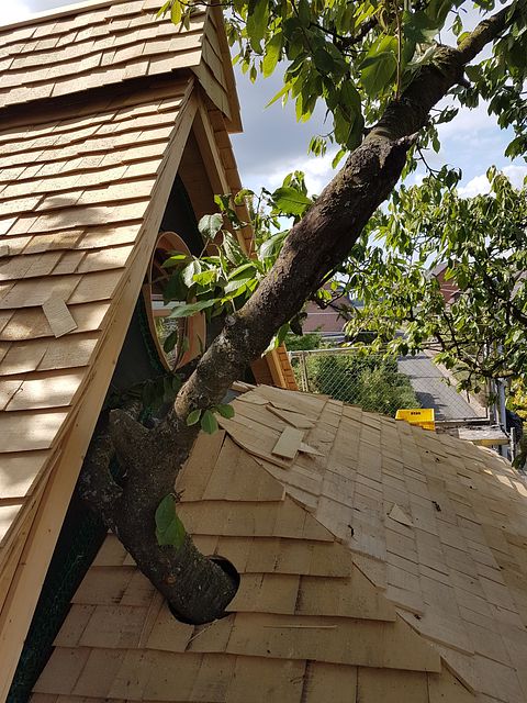 Prachtige boomhut in een oude kersenboom - 3