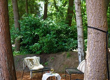 Design vakantiehuisje op de Veluwe - 18