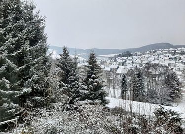 Wellness-Haus mit Sauna im Sauerland - 33