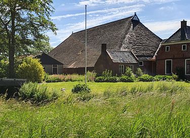 Glamping med privat hottub - 33