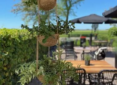 Sfeervolle B&B in Friesland - 3