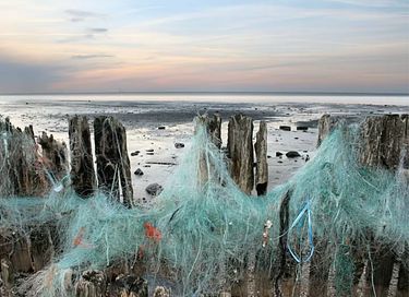 Gezellig vakantiehuis aan het Lauwersmeer - 24