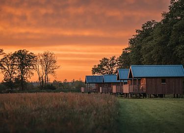 Gruppenunterkunft (16 Personen) in Drenthe - 22