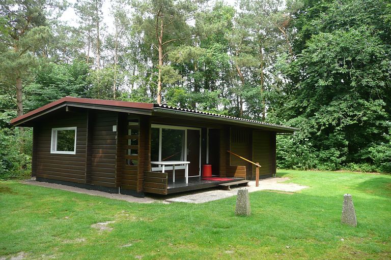 Gemütliches Ferienhaus in der Landschaft von Drenthe - 1