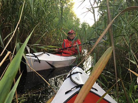 Biebosch insolite sur l'eau - 2