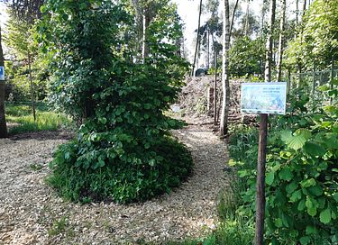 Knusse pipowagen midden in de natuur - 16