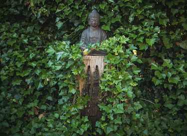 Wellness stay in Drenthe - 20