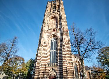 Tiny house in groene en historische omgeving - 41