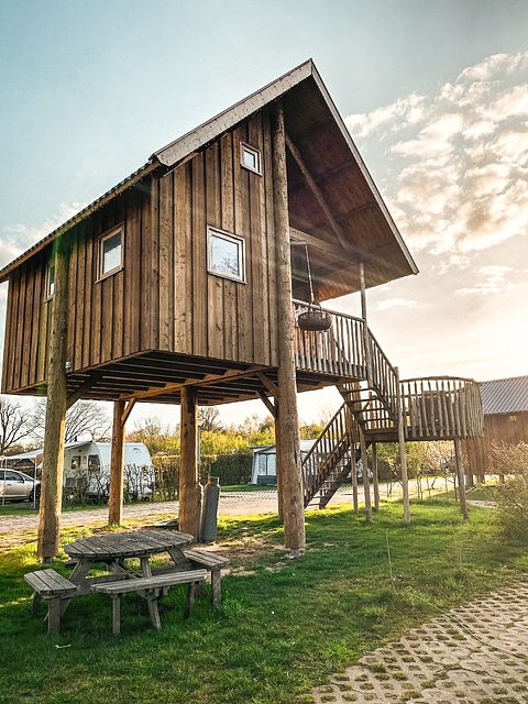 Maison dans les arbres à Overijssel au bord d'une rivière - 2