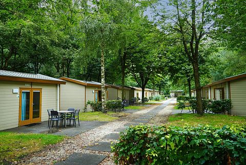 Tiny house (4p) vlakbij Amsterdam - 4