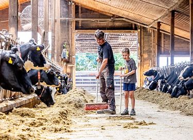 Glamping dans une ferme équestre et laitière - 20