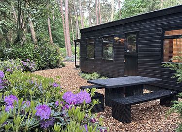 Boshuis met wellness in Drenthe