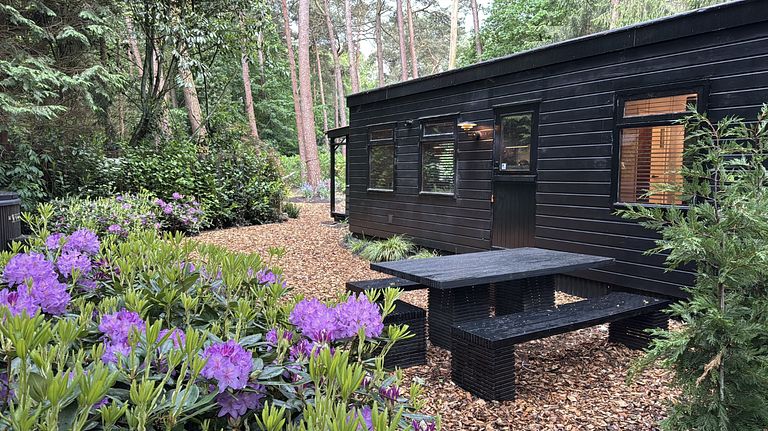 Boshuis met wellness in Drenthe - 1