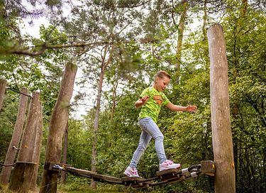 Boslodge op leuke camping in Overijssel - 20