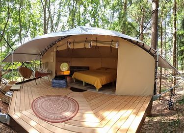 Unique glamping tent high among the trees - 4