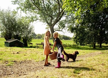 Bauernhofurlaub im holländischen Polder - 49