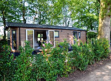 4-person vacation chalet in the middle of the Veluwe - 20