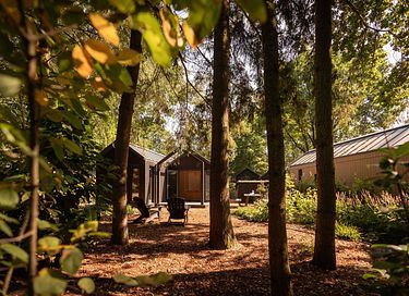 Stimmungsvolles Tiny House mit Privatsphäre - 13