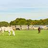  Glamping à la ferme à cheval et à poney