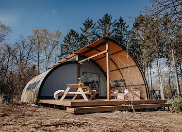 Design tent op de Veluwe voor 5 personen - 1
