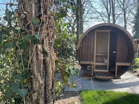 Dog-friendly wellness lodge in the Veluwe region - 3