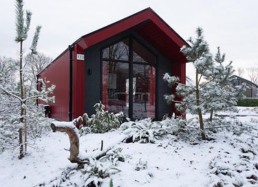 Colorful Tiny House near the Veluwe Mountains - 14