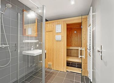 Logement de vacances avec piscine et sauna - 18