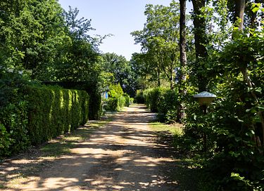 Roulotte dans la Veluwe - 37