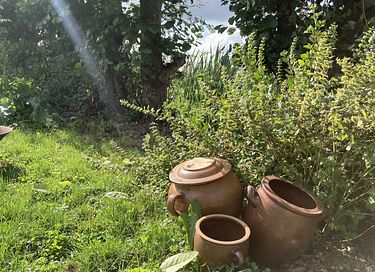 Maison enveloppante dans un magnifique jardin de cueillette - 12