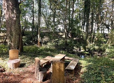 Historische watermolen in groene omgeving - 43