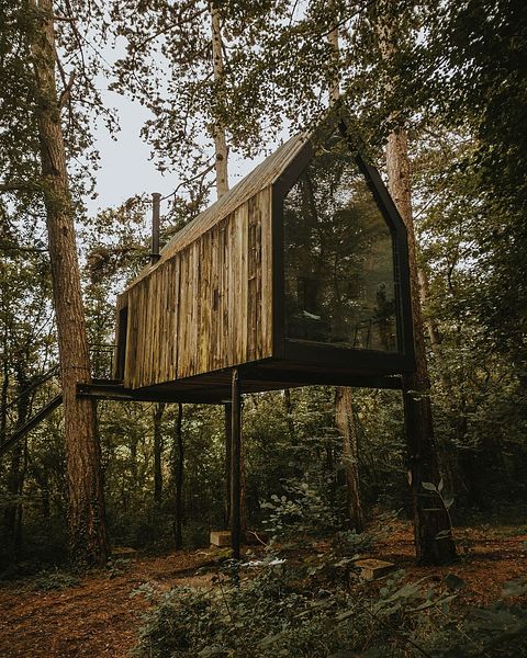 Einzigartige Hütte zwischen den Bäumen in den Ardennen - 3