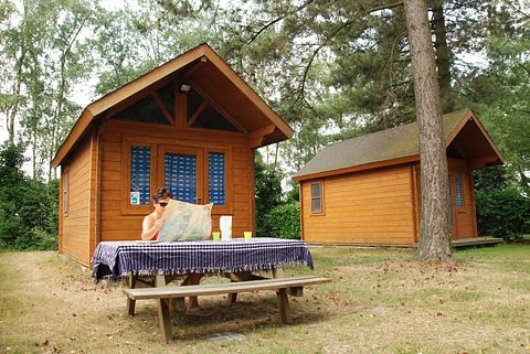 Log cabin in the Kempen - 5