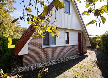 Logement de vacances à l'orée de la forêt - 33