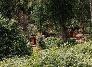Enjoy nature in this luxury pod - 2