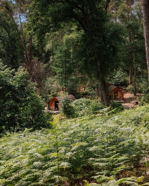 Enjoy nature in this luxury pod - 2