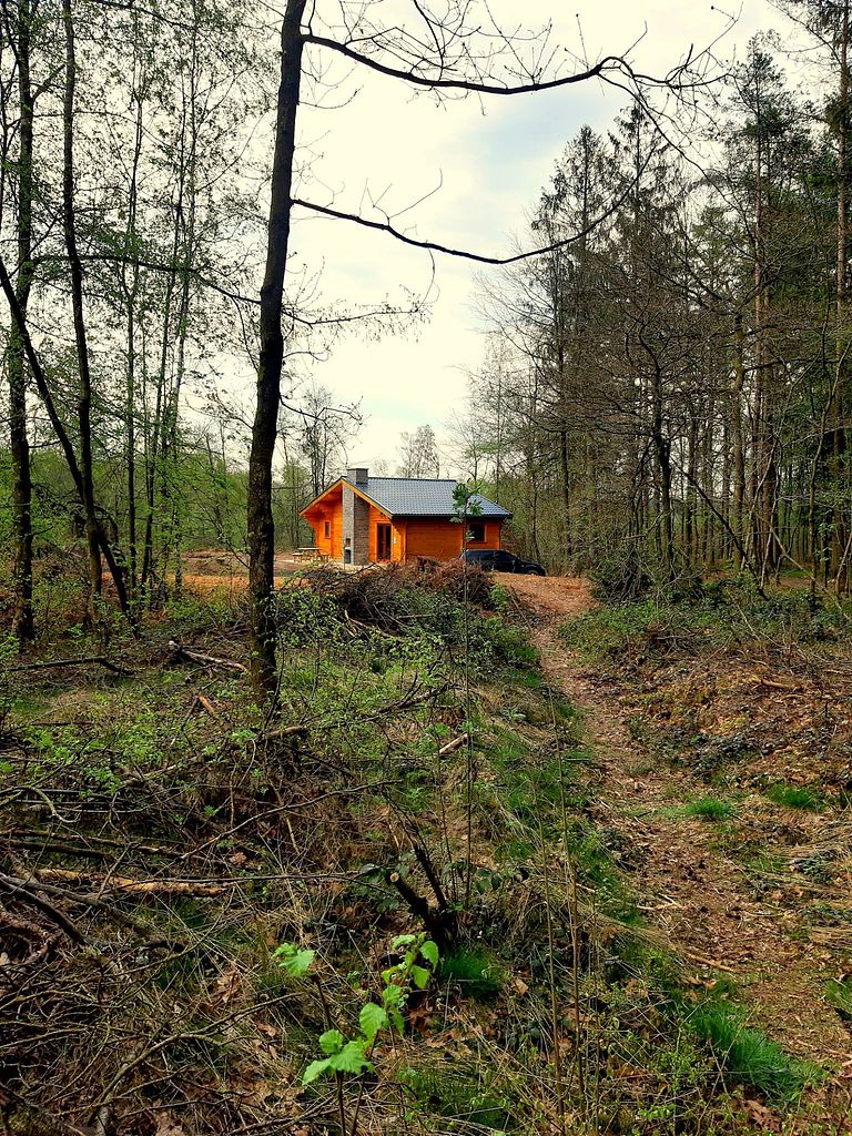 Vakantiechalet in de Belgische natuur - 1