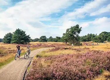 Ruim vakantiehuis op de Veluwe - 23