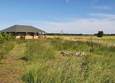 Glampingtent in Groningen met hottub - 18